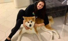 Питомцы российских фигуристок: Щербакова спасает бездомных животных, пять собак Трусовой, подарок Валиевой от фанатов